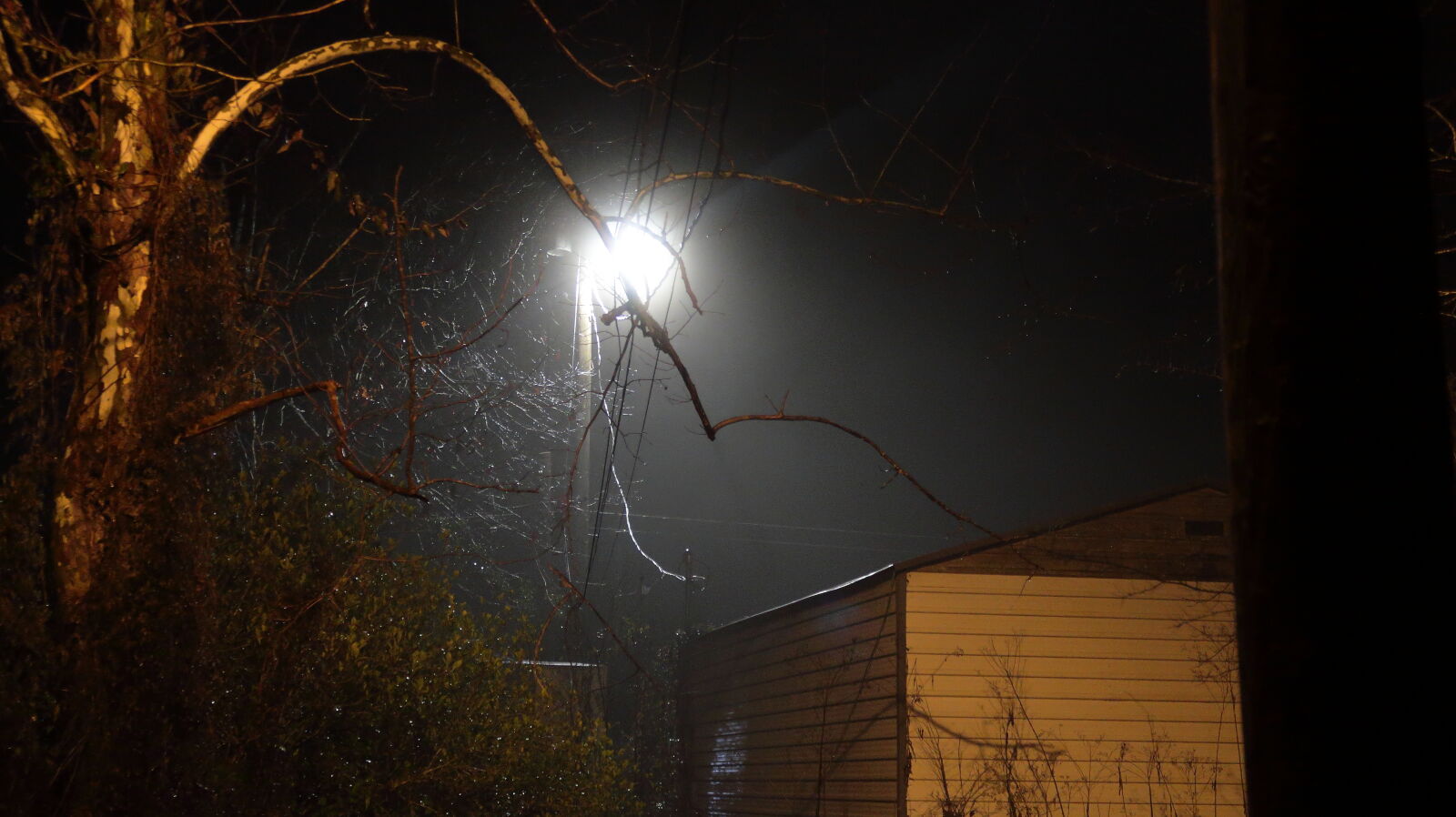 Canon PowerShot G7 X Mark II sample photo