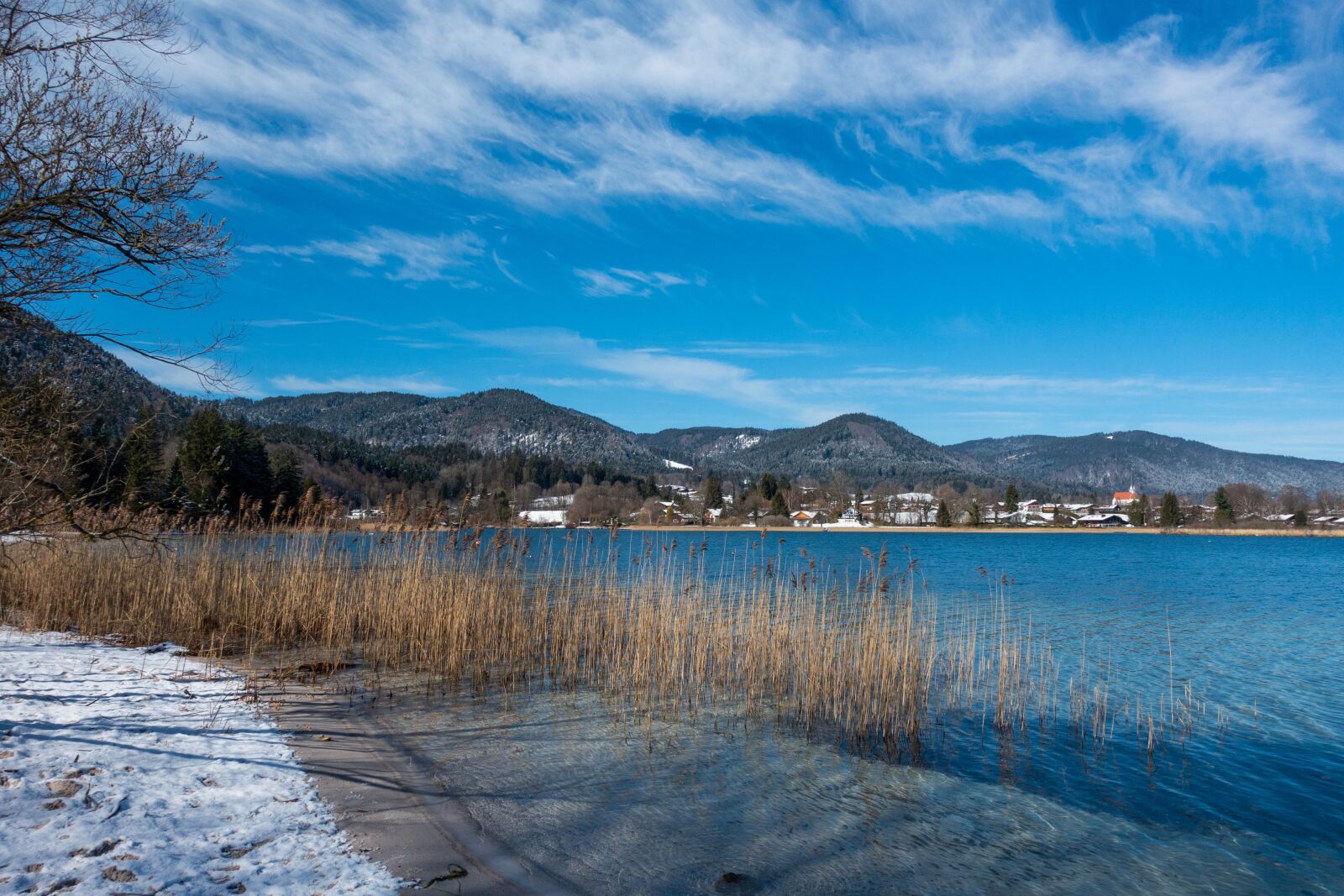 Sony Cyber-shot DSC-RX100 III sample photo. Reed, snow, lake photography