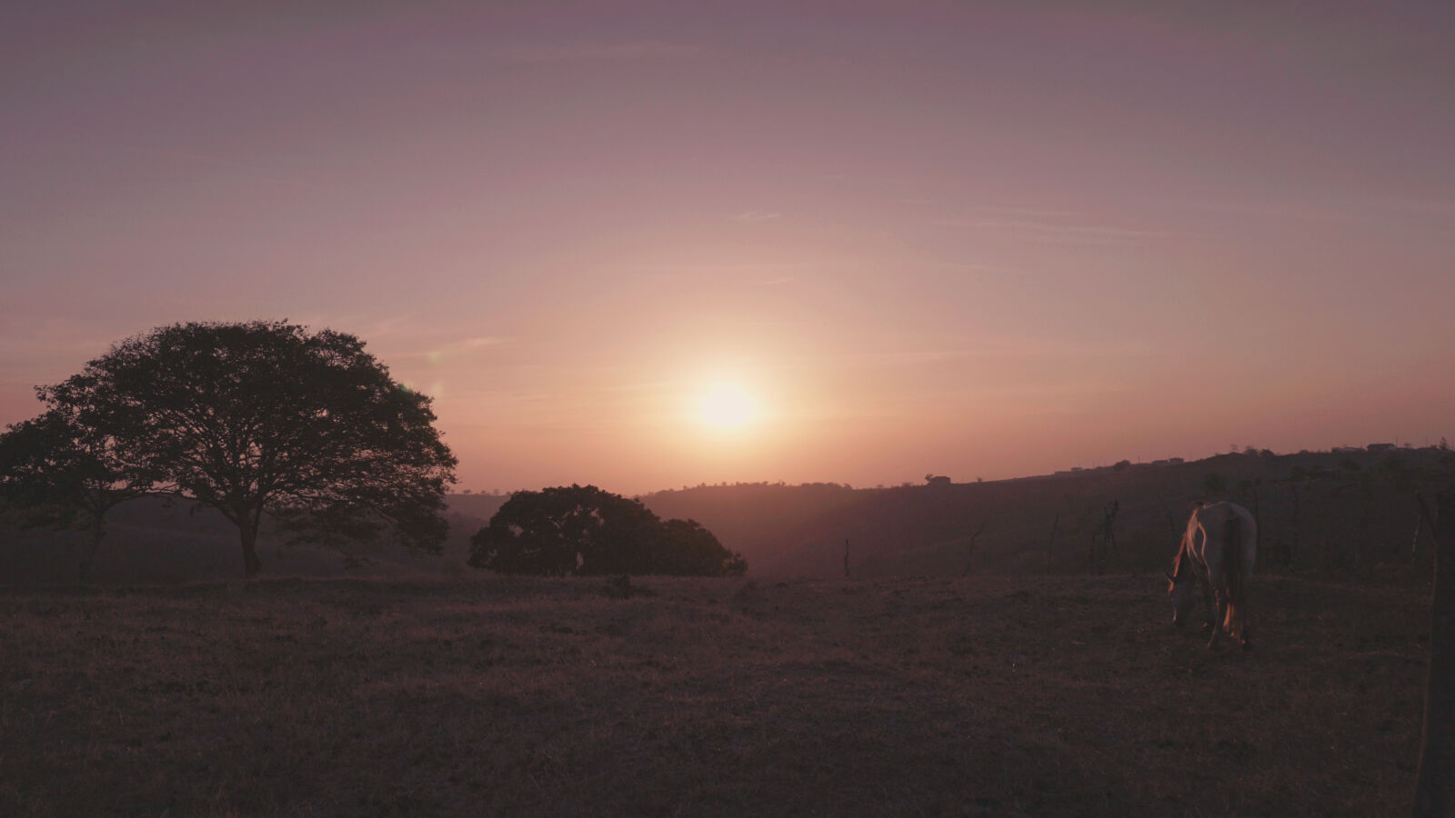 Sony a6300 sample photo. Silhouette, trees, on, landscape photography