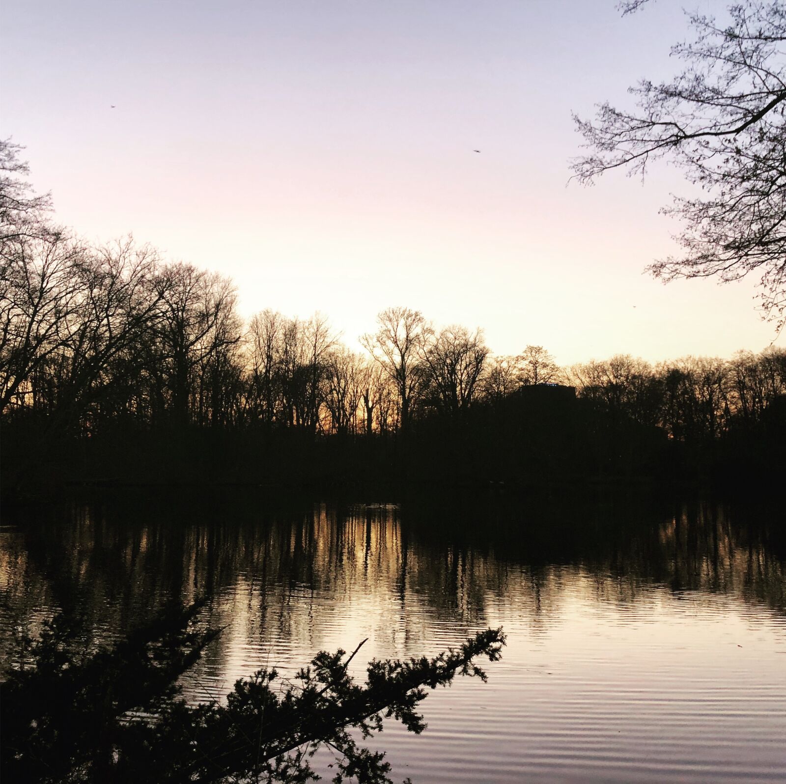 Apple iPhone 8 sample photo. Sunset, water, wind photography