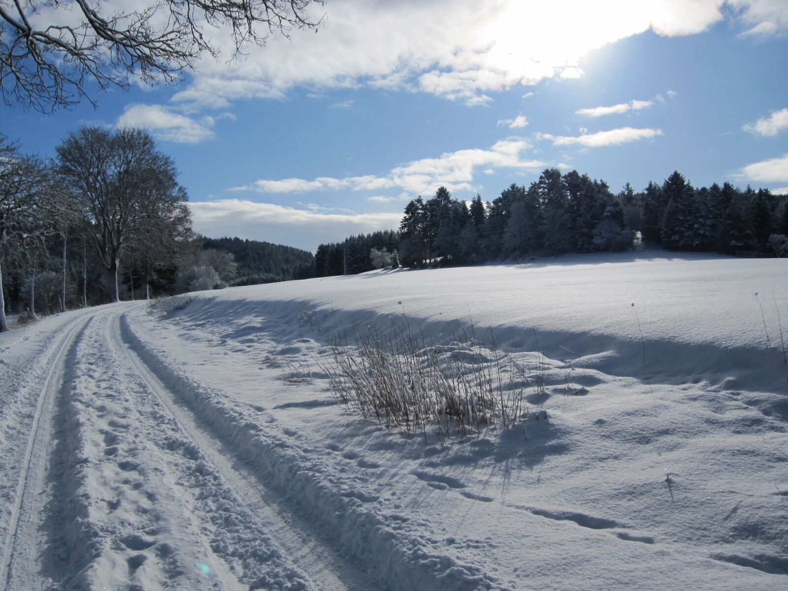 Canon PowerShot SD780 IS (Digital IXUS 100 IS / IXY Digital 210 IS) sample photo. Winter, snow, away photography