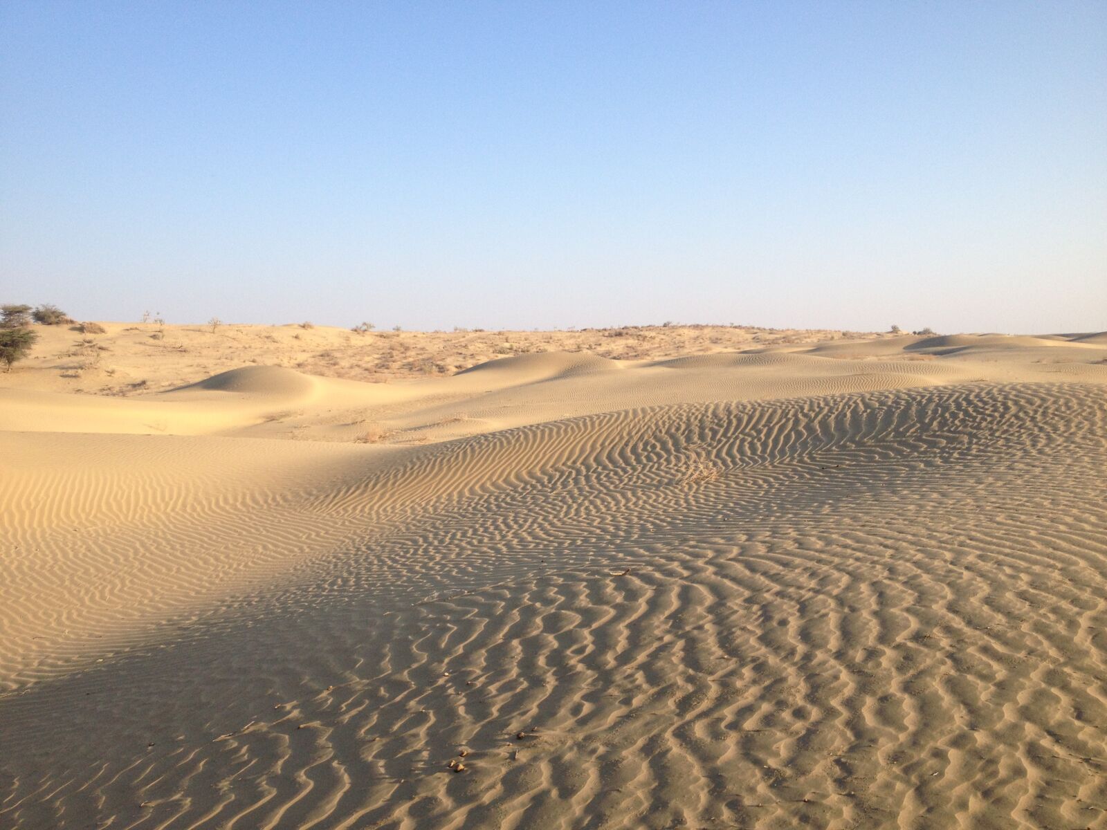 iPhone 4S back camera 4.28mm f/2.4 sample photo. Desert, india, nature photography