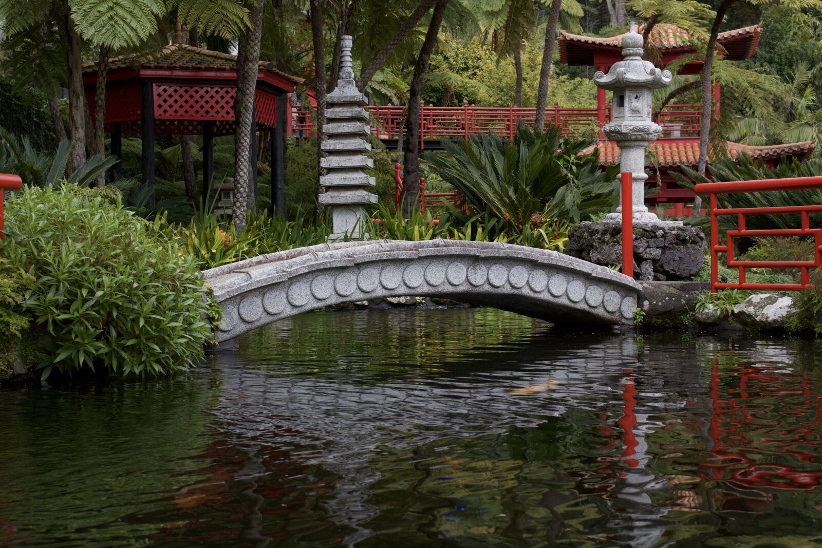 Canon EOS 700D (EOS Rebel T5i / EOS Kiss X7i) sample photo. Madeira, portugal, japanese photography
