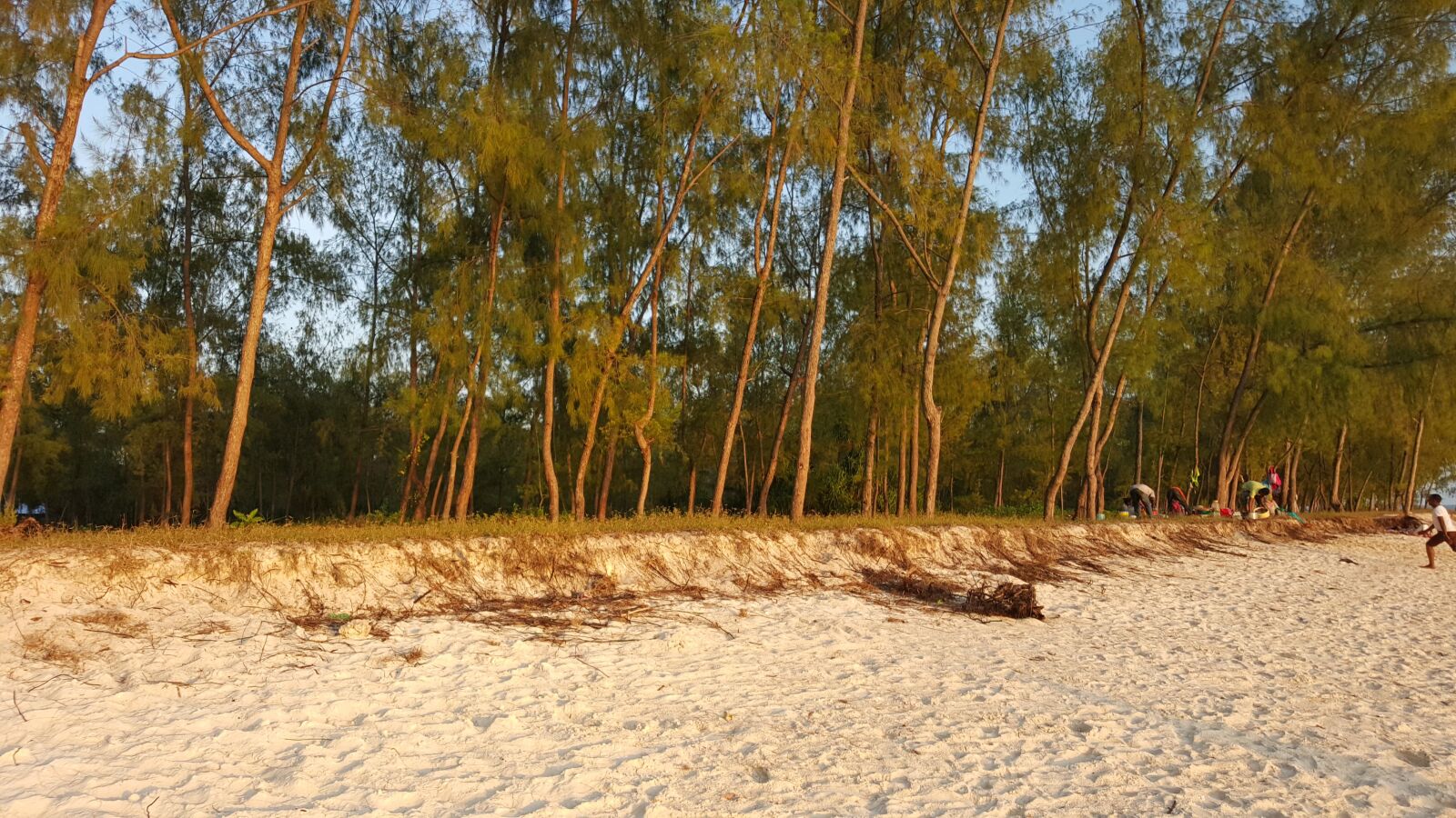 Samsung Galaxy S6 sample photo. Zanzibar, kendwa, tranquil photography