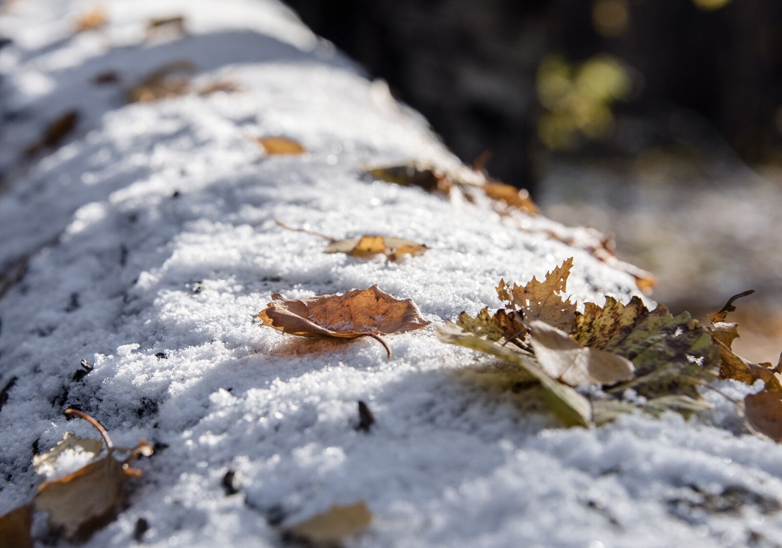 Nikon D750 sample photo. Nature, cold, outdoors photography