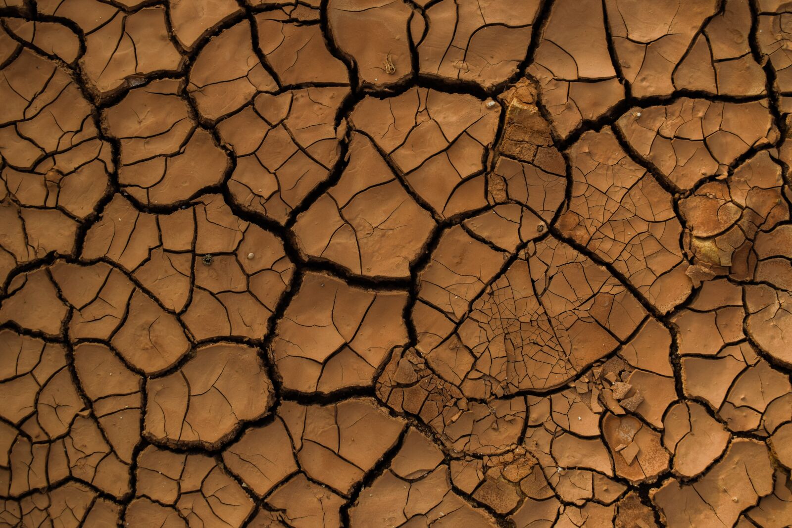 Nikon D3300 sample photo. Drought, aridity, aridness photography
