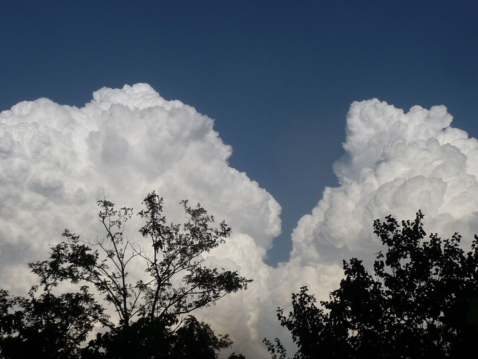 Panasonic Lumix DMC-TZ4 sample photo. Sky, thunderstorm, cloud photography