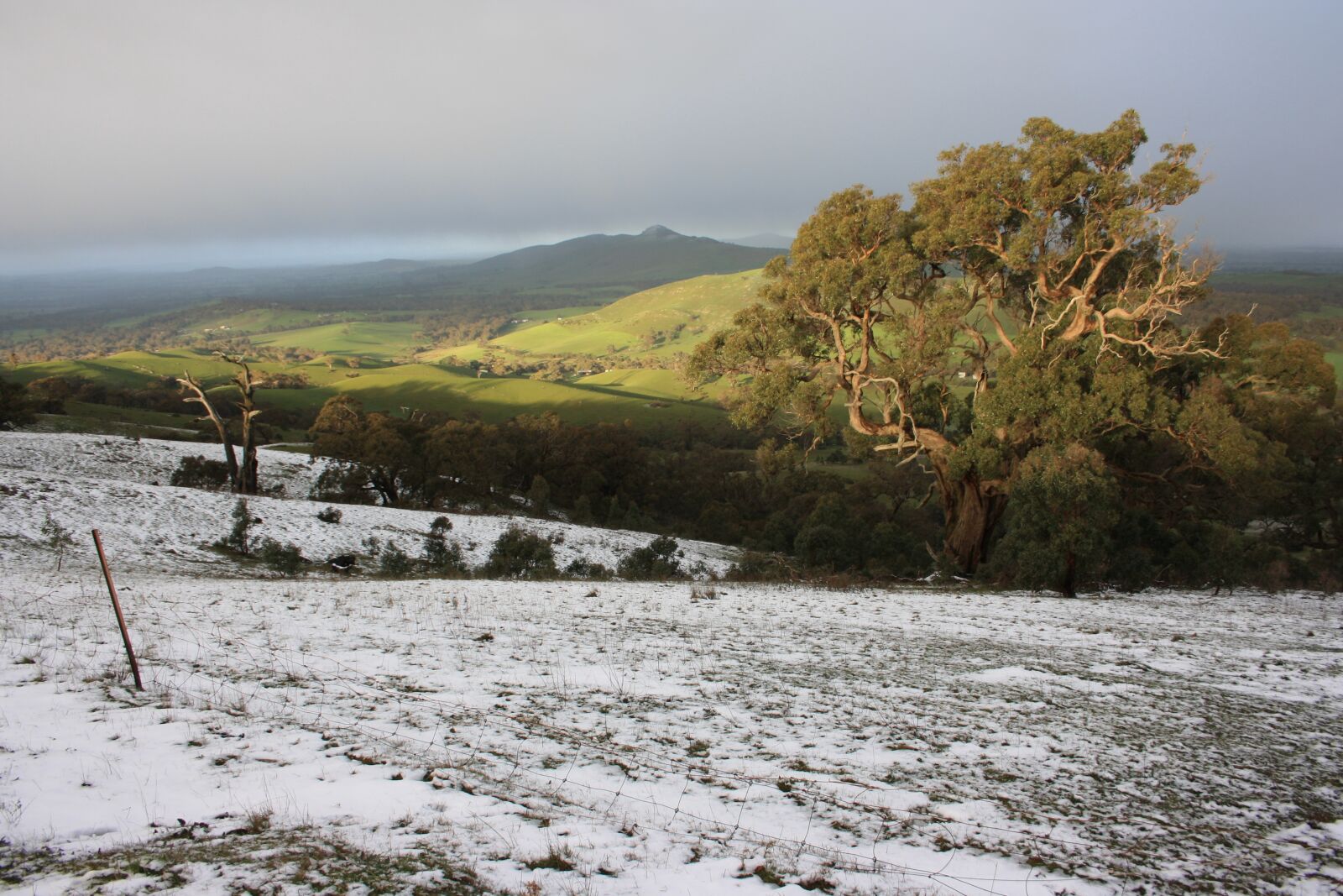 Canon EOS 1000D (EOS Digital Rebel XS / EOS Kiss F) sample photo. One tree hill, snow photography
