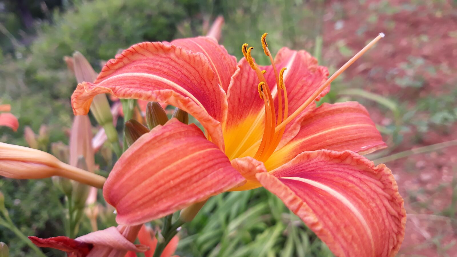 Samsung Galaxy J5 sample photo. Samsung, phone, pics photography