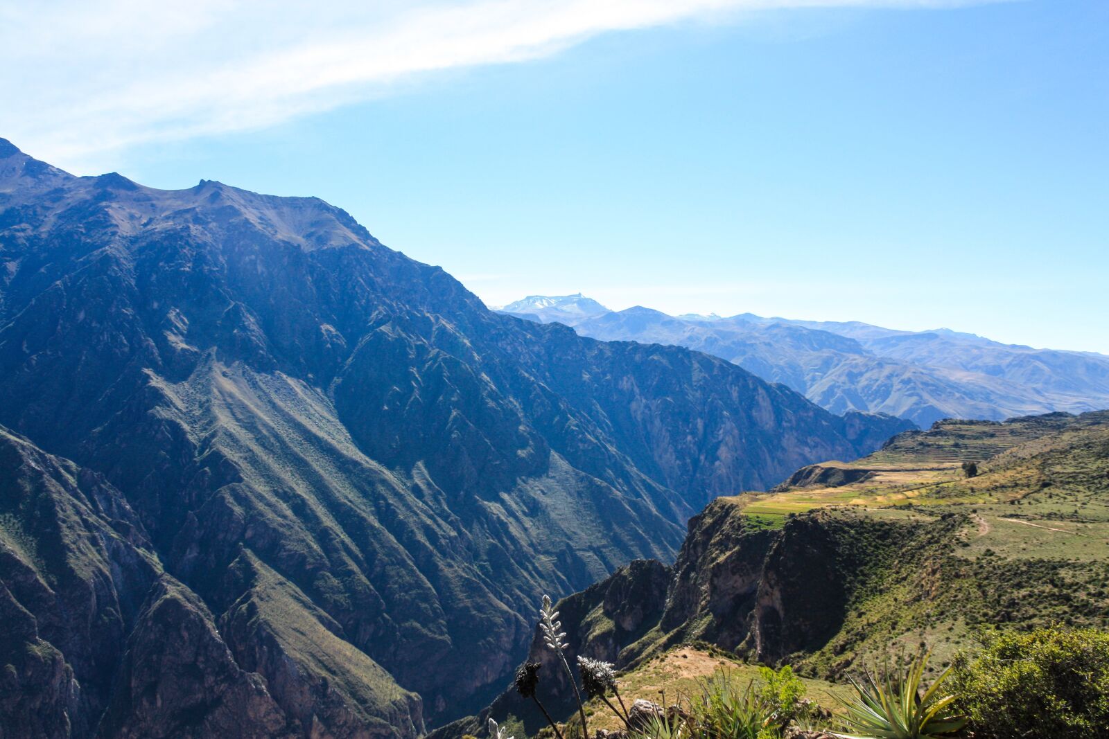 Canon EOS 450D (EOS Rebel XSi / EOS Kiss X2) sample photo. Colca canyon, canyon, peru photography