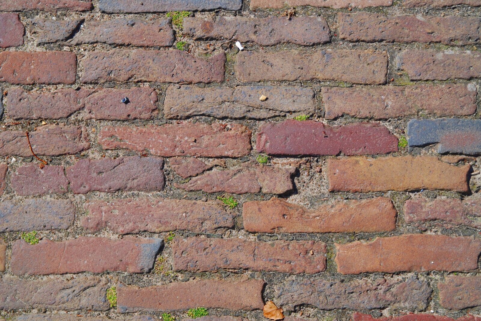 Nikon D80 sample photo. Brick, wall, red photography