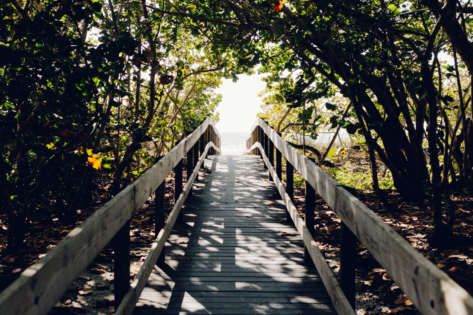 Canon EOS 6D + Canon EF 50mm F1.8 STM sample photo. Beach, boardwalk, bridge, daylight photography