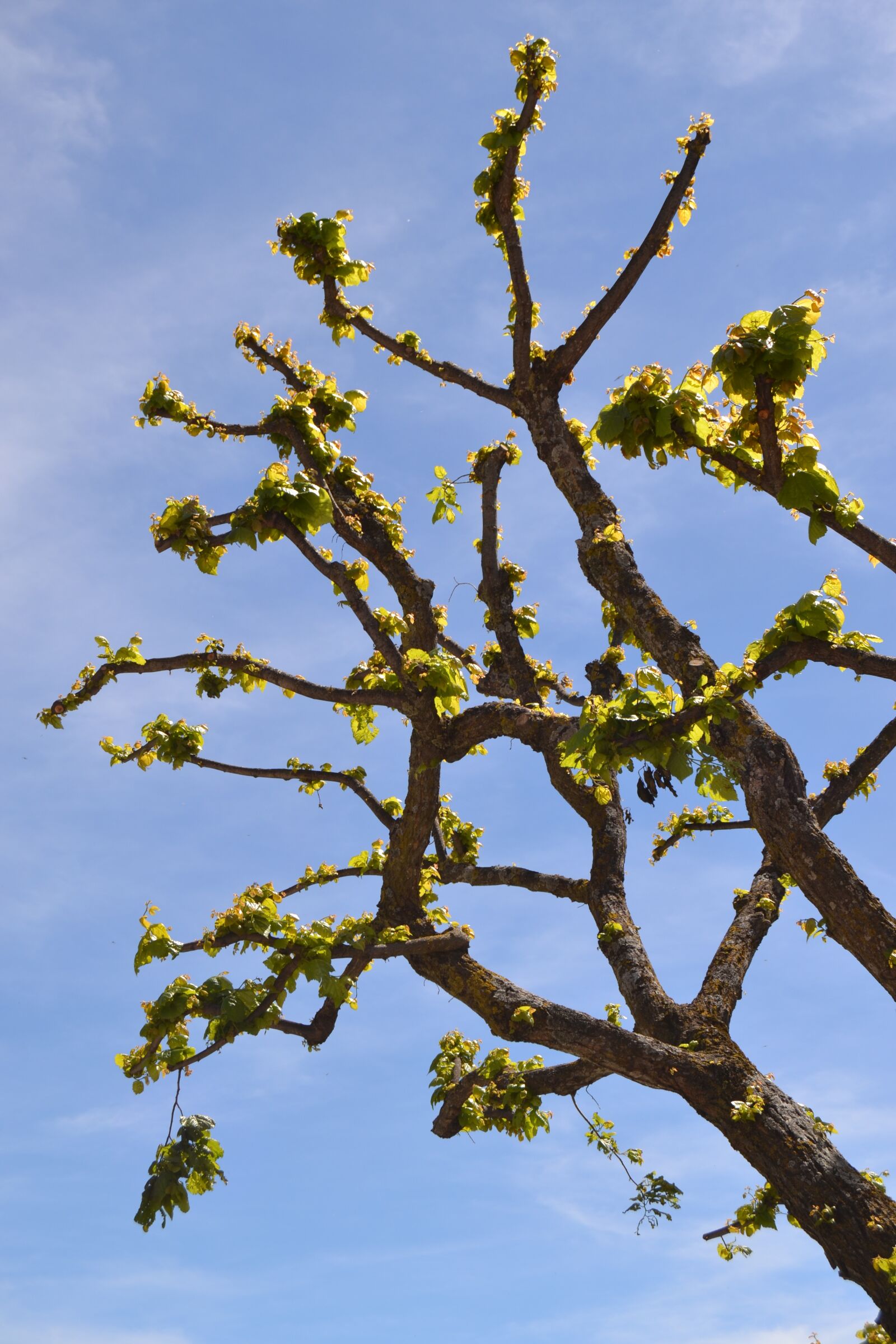 Nikon D3100 sample photo. France, provence, serres photography