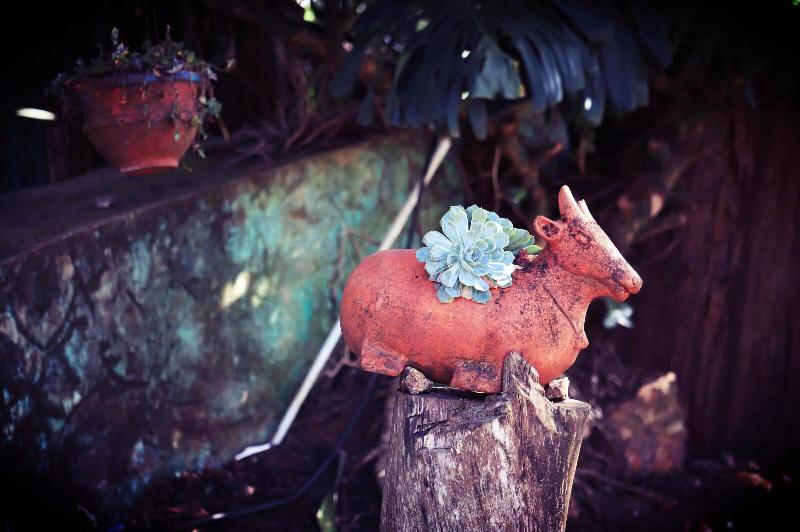 Canon EOS 200D (EOS Rebel SL2 / EOS Kiss X9) sample photo. Nandi, pottery, nature photography