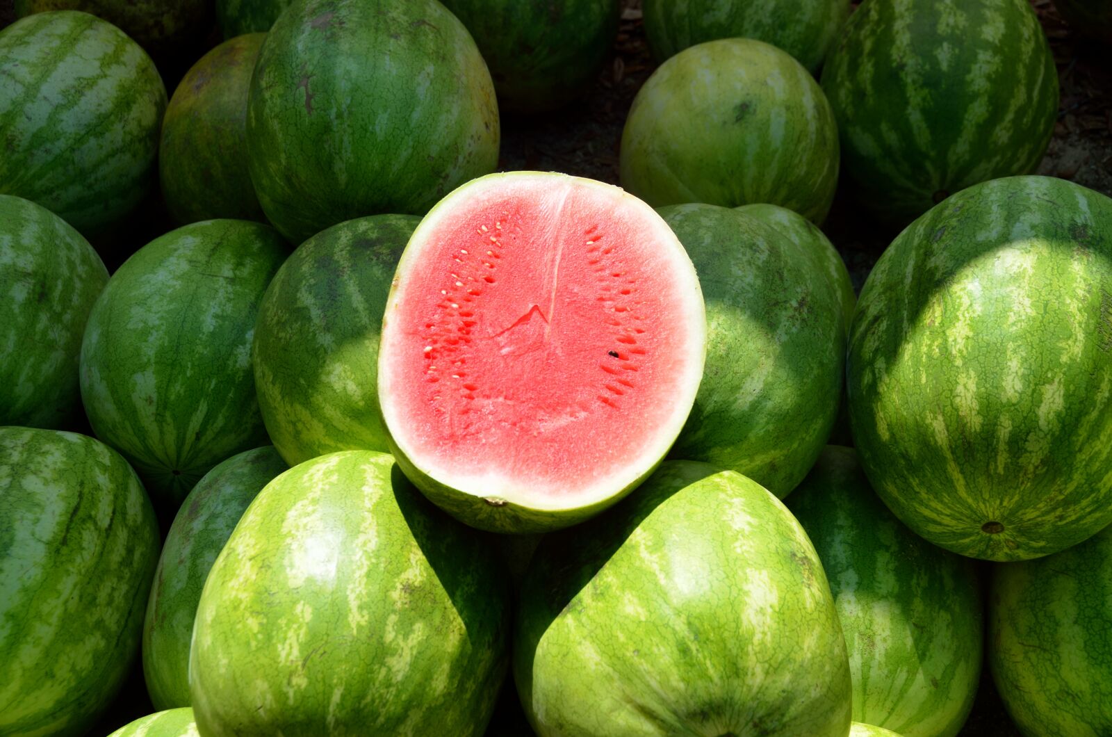 Nikon D7000 sample photo. Water melon, fruit, sweet photography