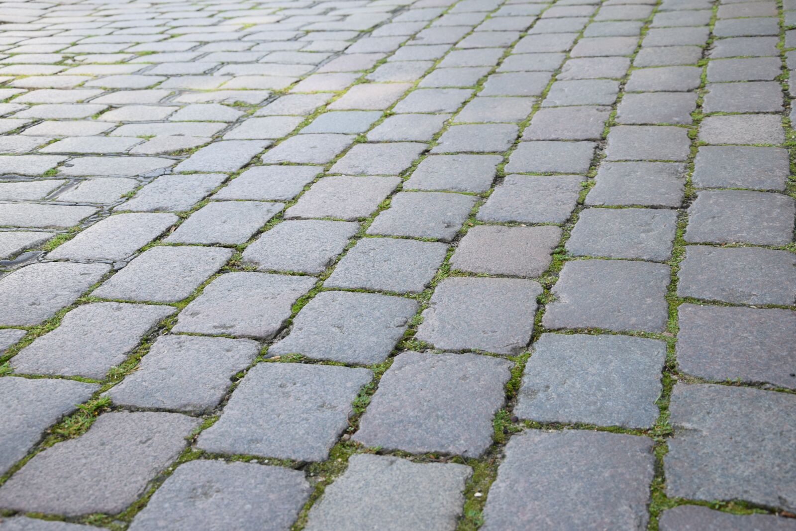 Nikon D3300 sample photo. Road, paving stone, background photography