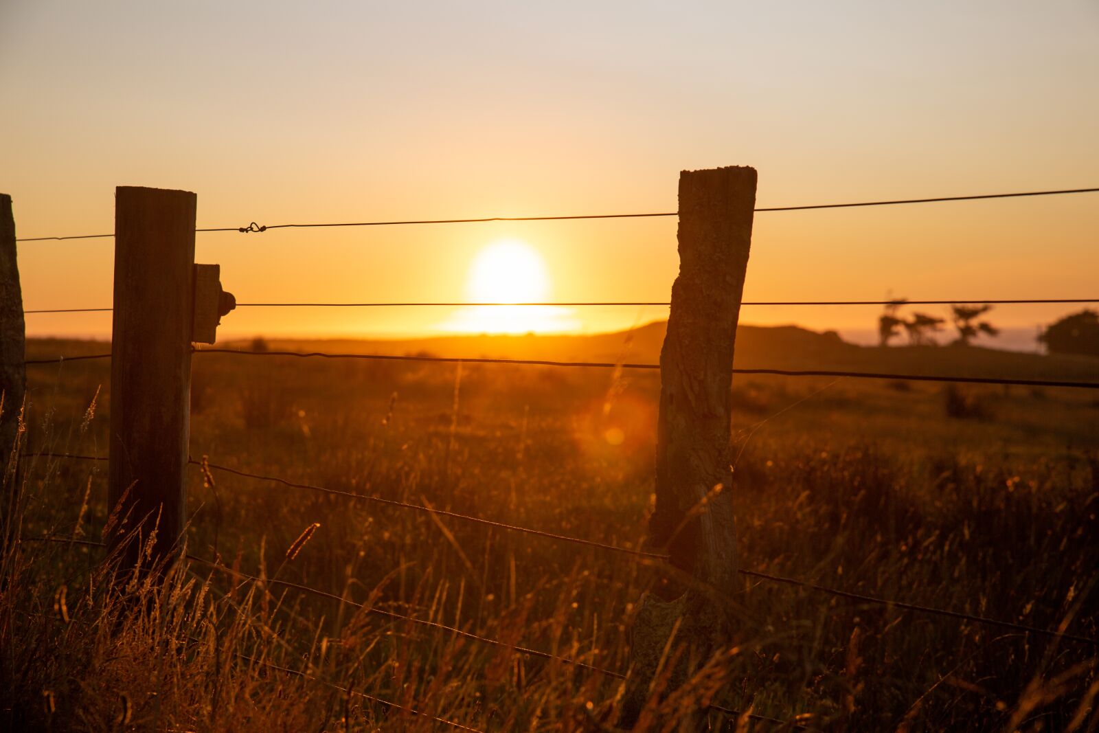Canon EOS 5D Mark III sample photo. Farm fence, sunset, farm photography