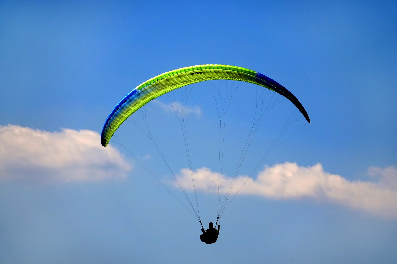 Sony Cyber-shot DSC-RX10 III sample photo. Sky, parachute, flying photography