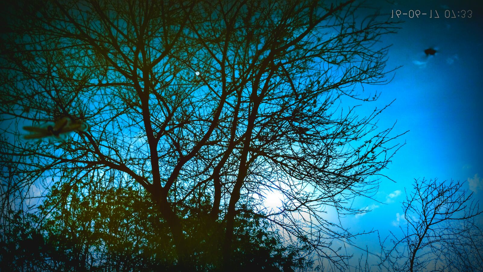 Xiaomi Redmi 3S sample photo. Nature, photography photography