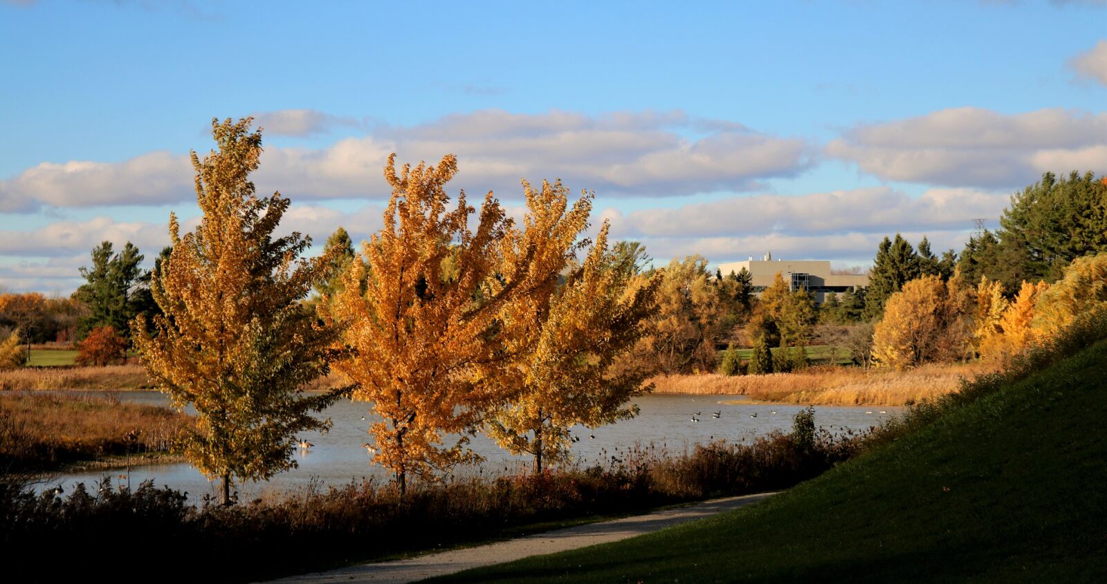 Canon EOS 750D (EOS Rebel T6i / EOS Kiss X8i) sample photo. Lake, nature, lands photography