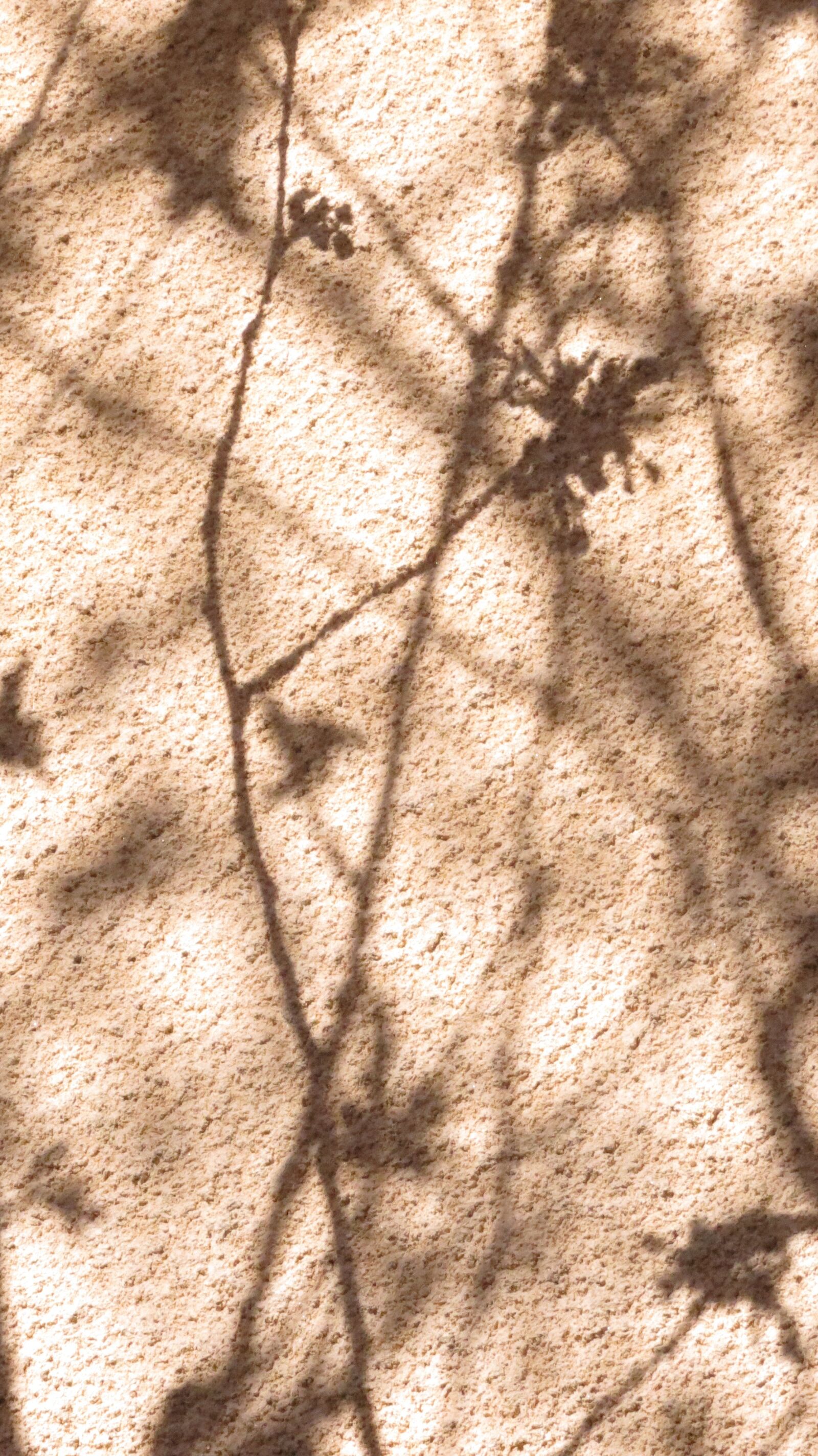 Canon PowerShot SX40 HS sample photo. Shadow, light, misty photography