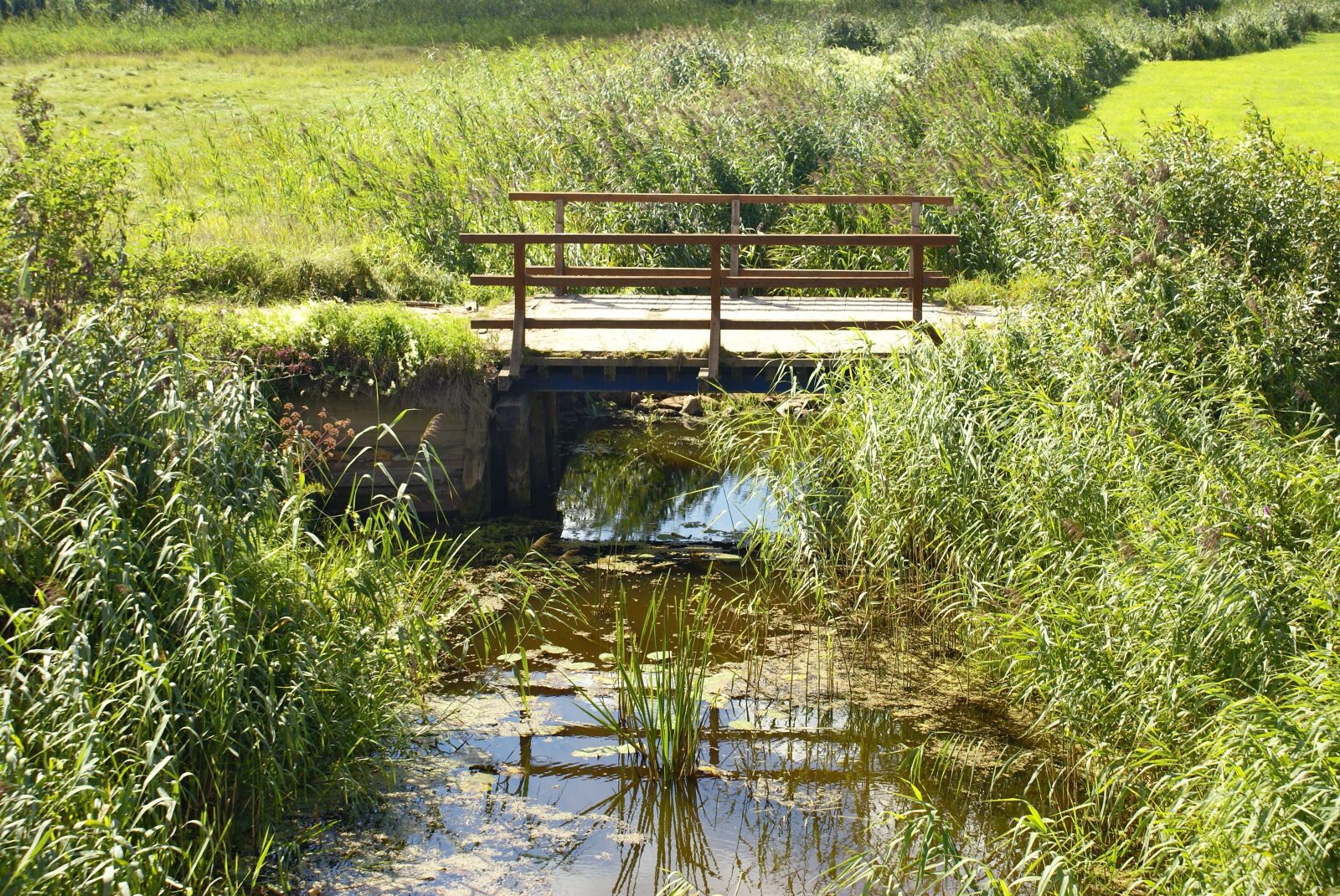 Sony Alpha DSLR-A100 sample photo. Stream, bridge, meadow photography
