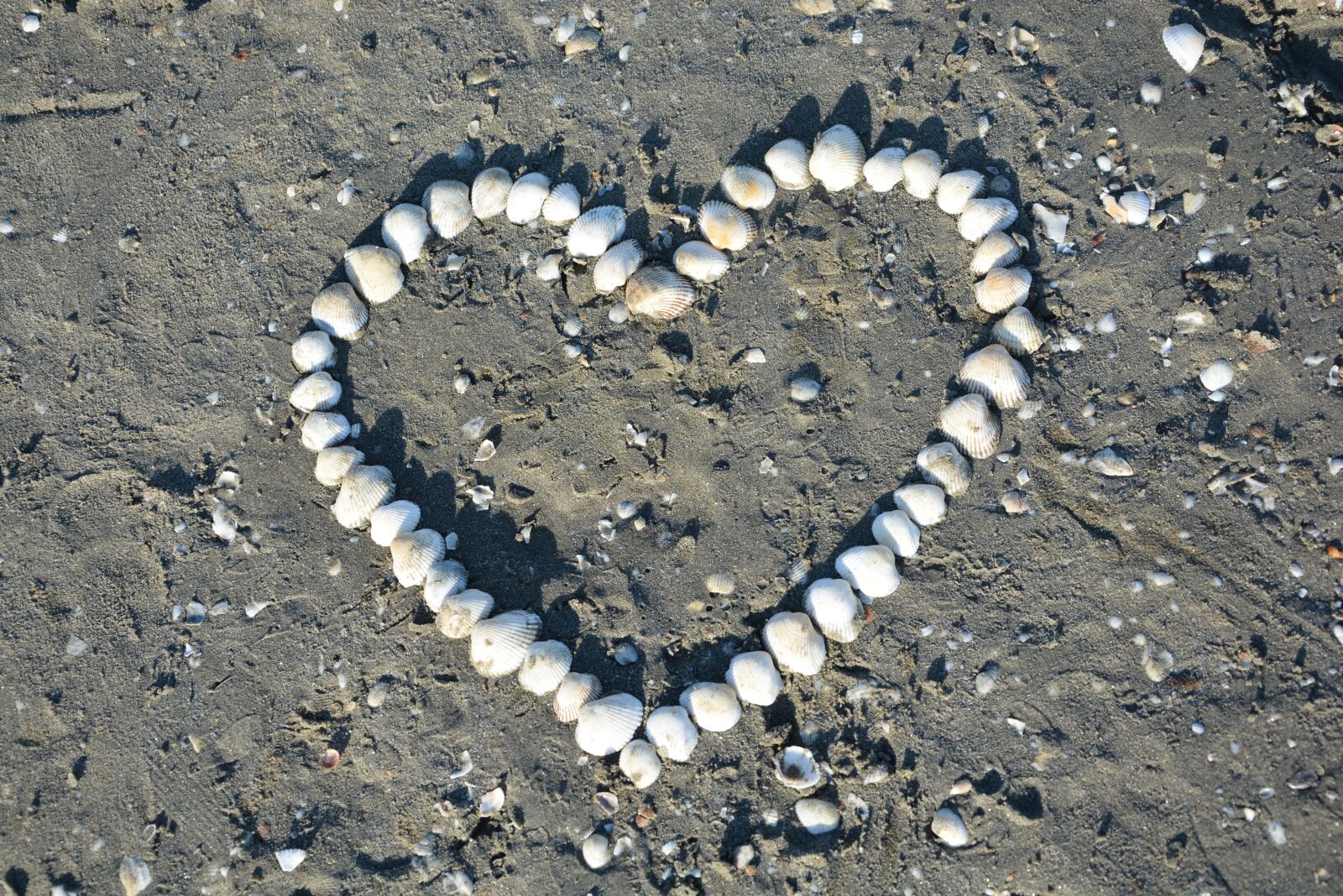 Nikon D7100 sample photo. Heart, serce, muszelki photography