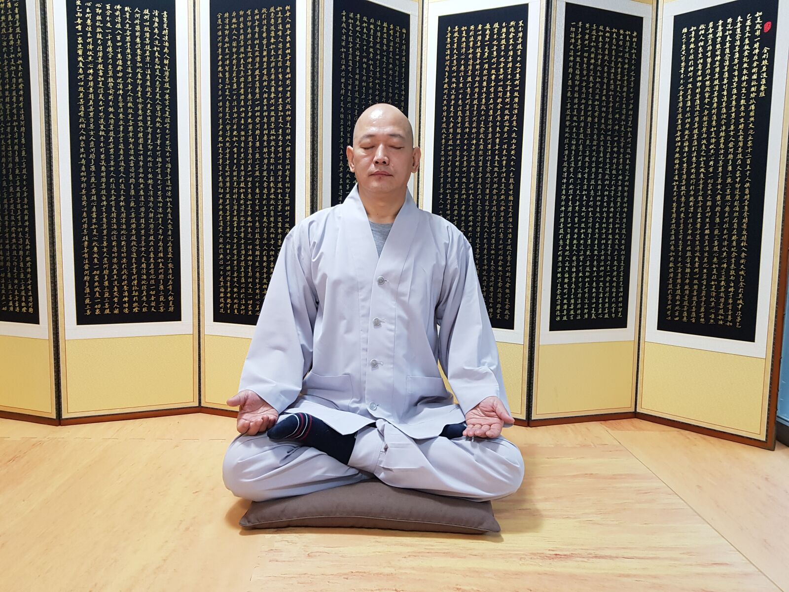 Samsung SM-N950N sample photo. Zen zen, perform, front photography