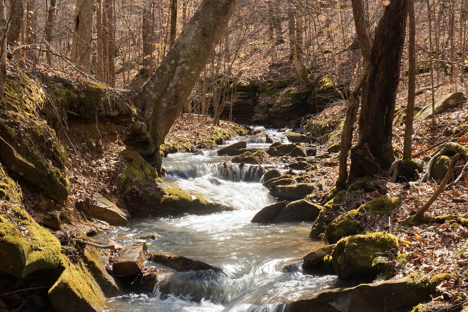 Canon EOS 200D (EOS Rebel SL2 / EOS Kiss X9) sample photo. River, stream, nature photography
