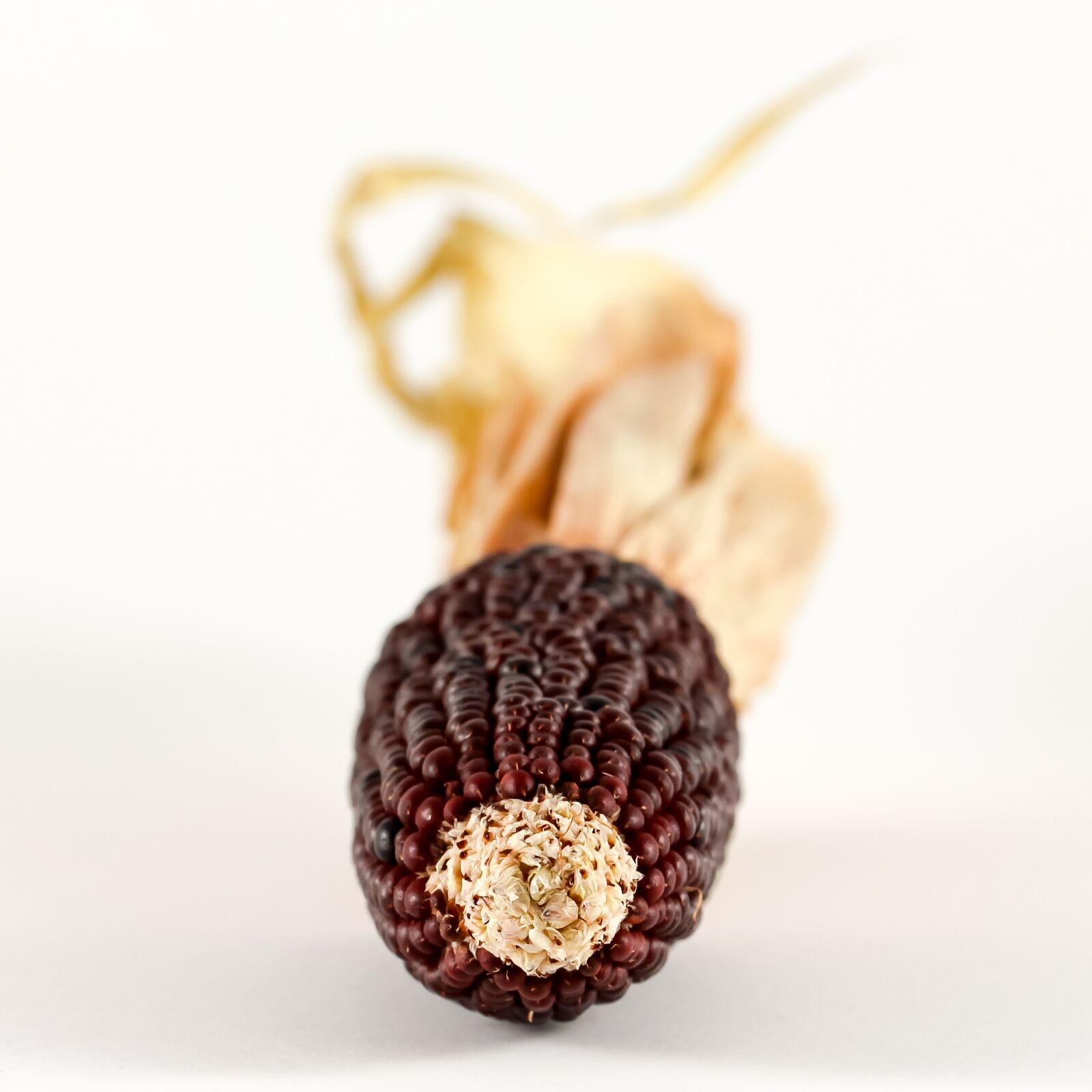 Canon EOS 700D (EOS Rebel T5i / EOS Kiss X7i) sample photo. Corn, ornamental corn, cereals photography