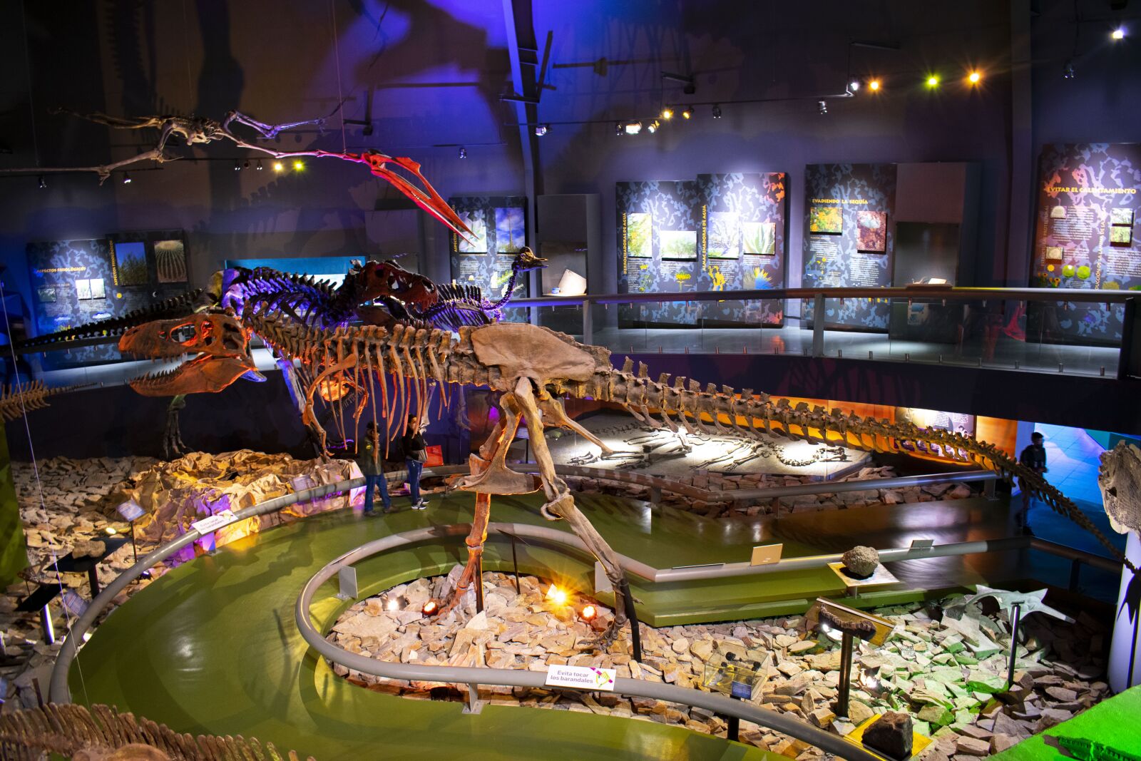 Nikon D3400 sample photo. Dinosaur, museum, desert museum photography