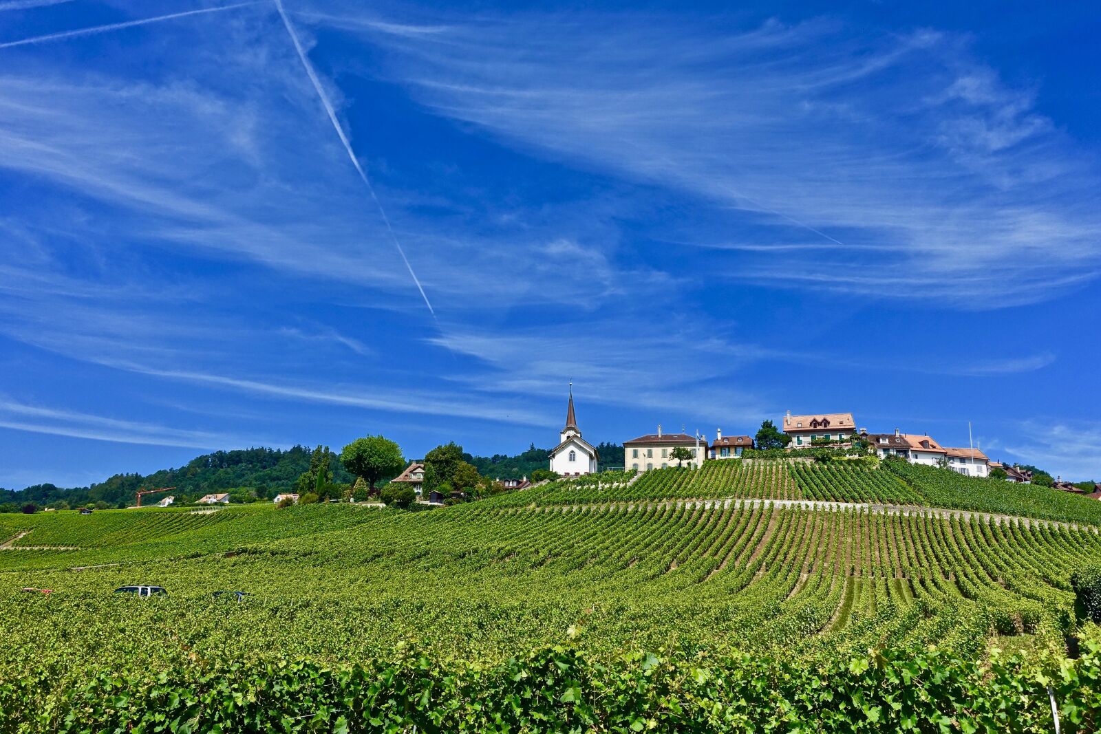 Sony Cyber-shot DSC-RX100 III sample photo. Farmland, agriculture, nature photography