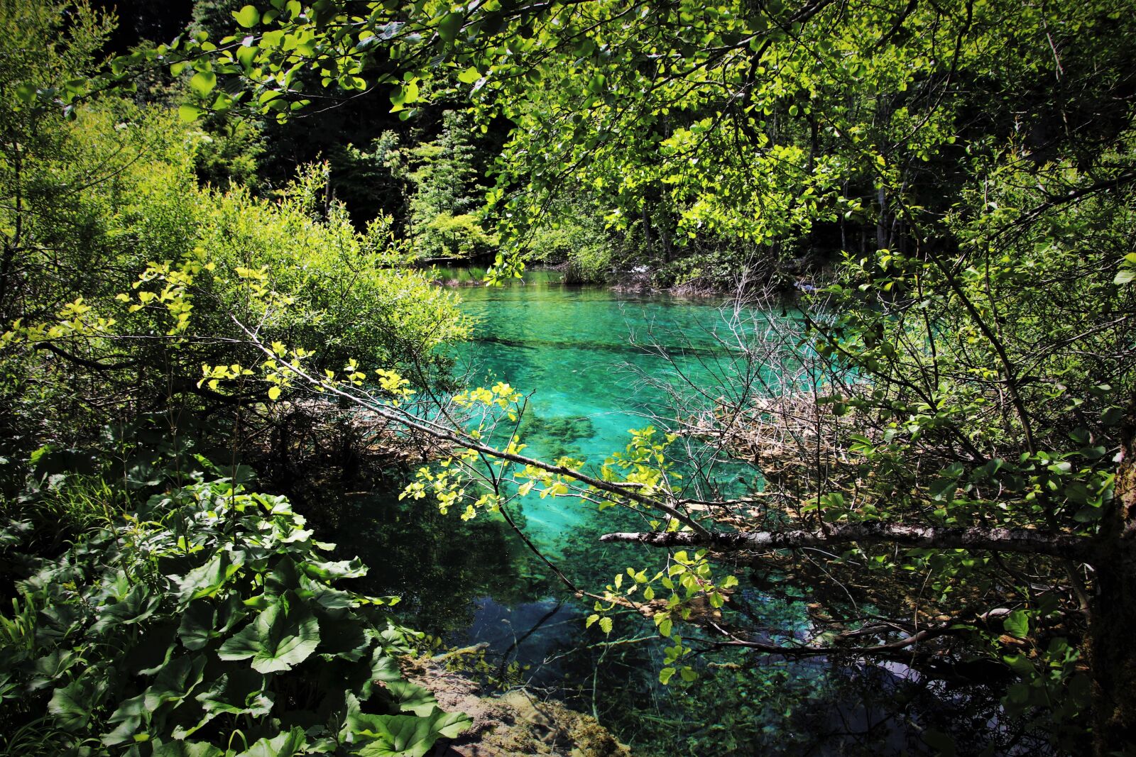 Canon EOS 80D sample photo. Water, plitvice, green mirror photography