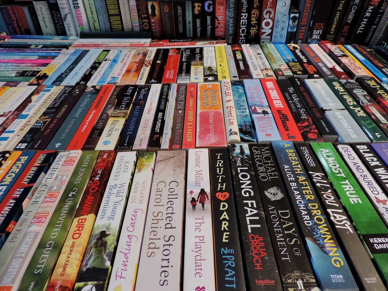 Nikon Coolpix P520 sample photo. Book, creation, shelf, business photography