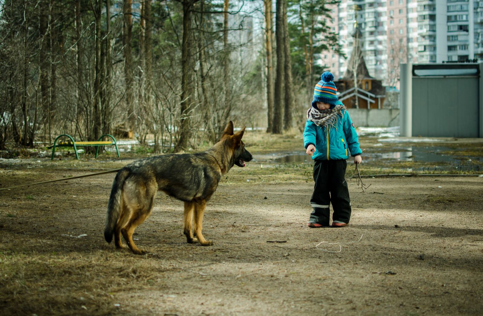 Nikon D5100 sample photo. Kids, people, dog photography
