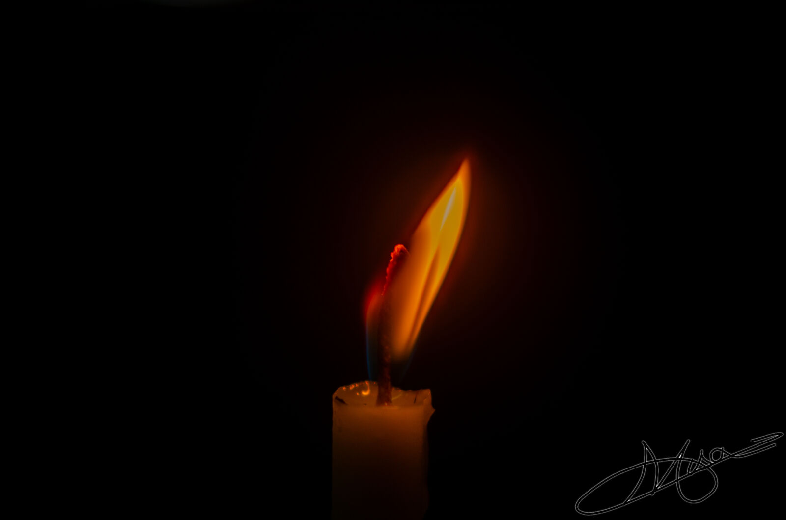 Nikon D5100 sample photo