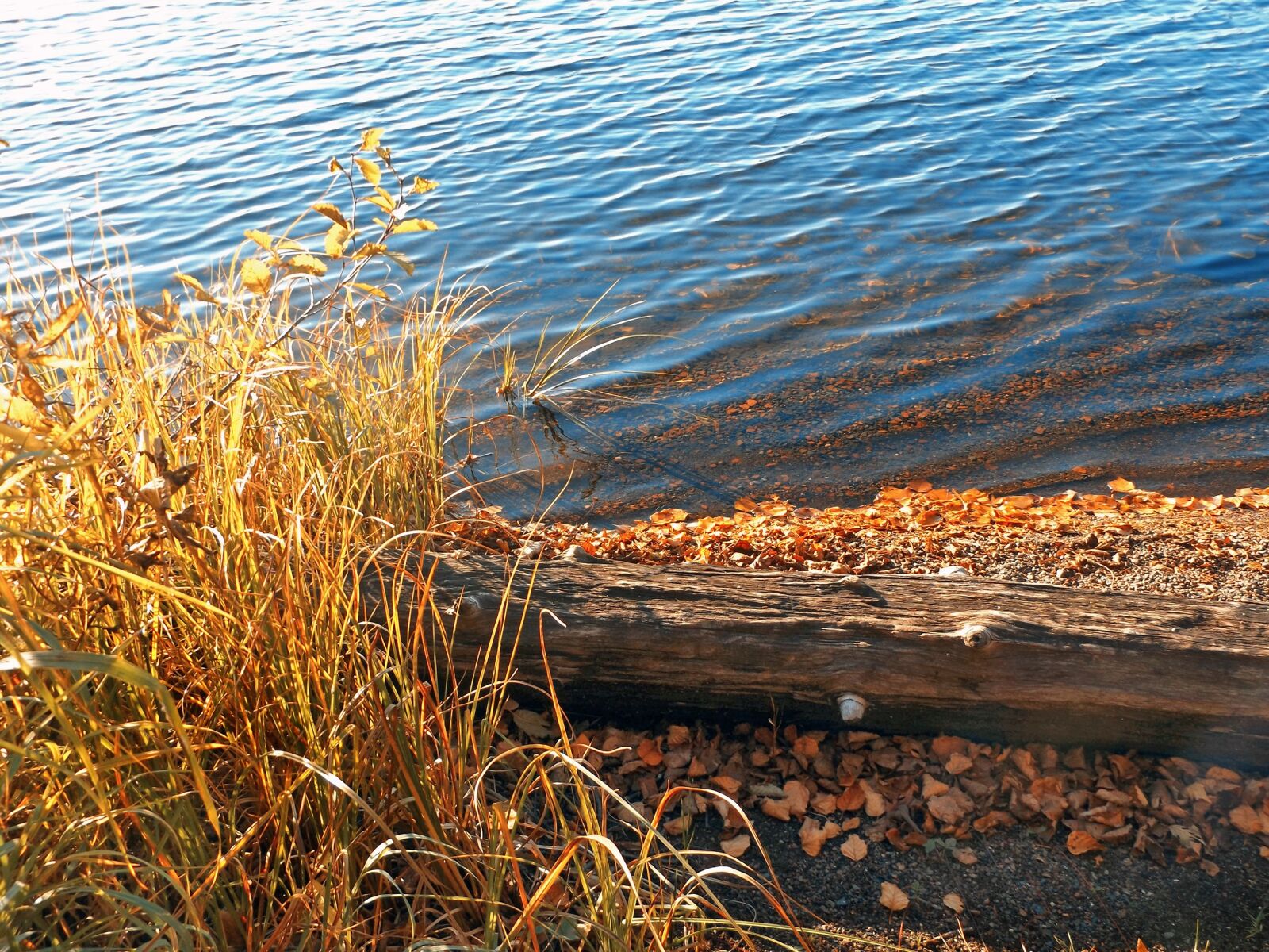 Fujifilm FinePix S8600 sample photo. Lake, fall, water photography
