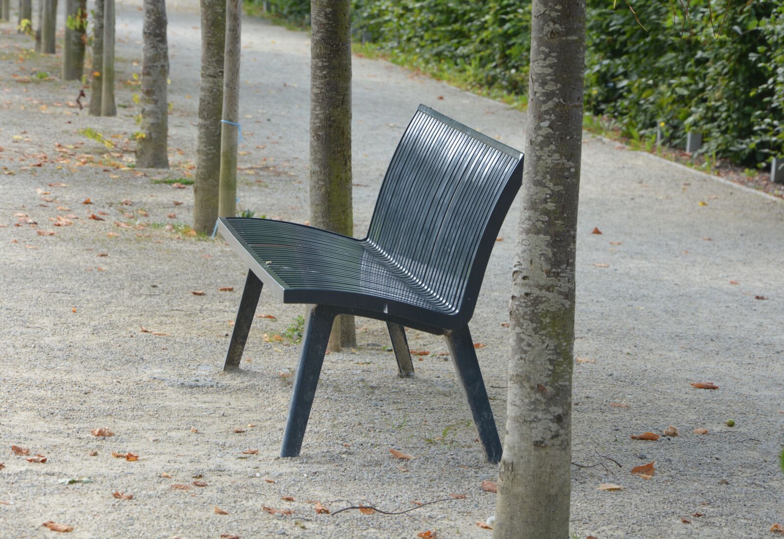 Nikon D5200 sample photo. Bench, park, sitting photography