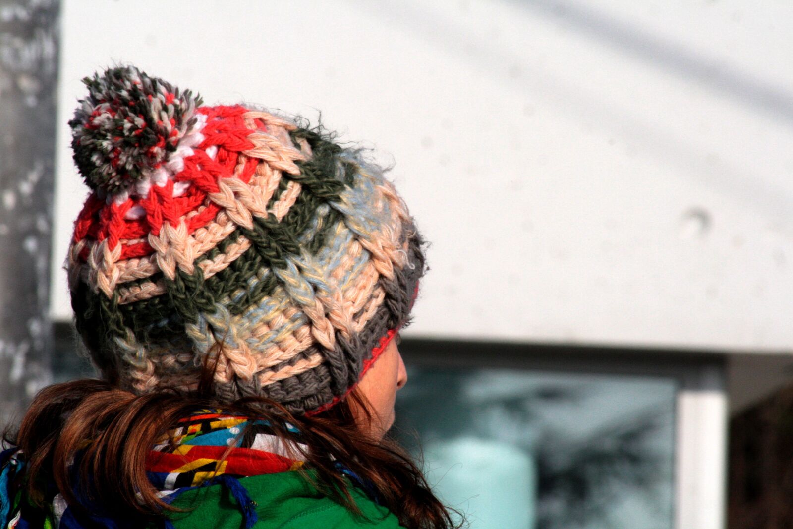 Canon EOS 1000D (EOS Digital Rebel XS / EOS Kiss F) sample photo. Bonnet, winter, cold photography