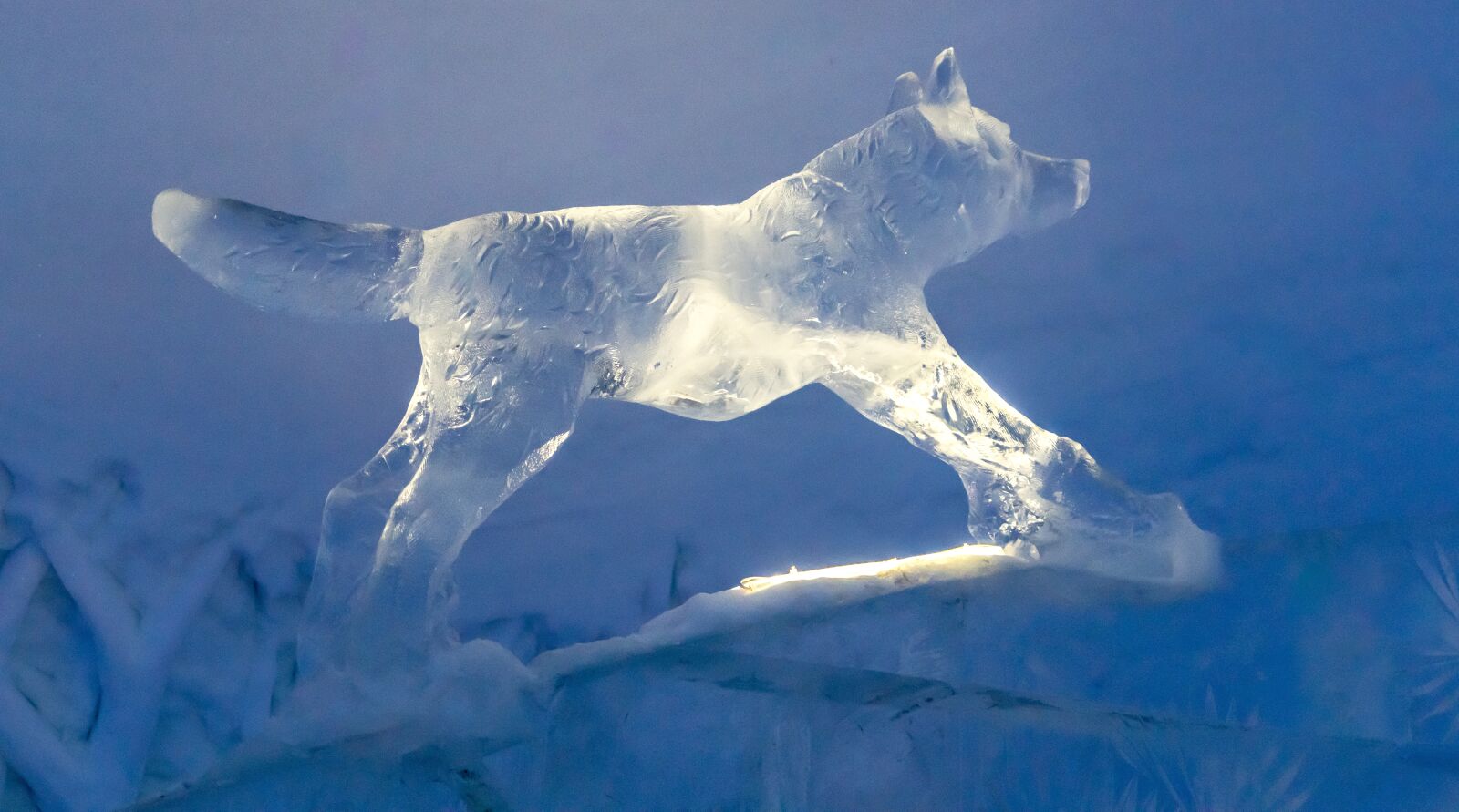 Sony a7R II + Sony FE 24-240mm F3.5-6.3 OSS sample photo. Snowhotel, ice bar, ice photography