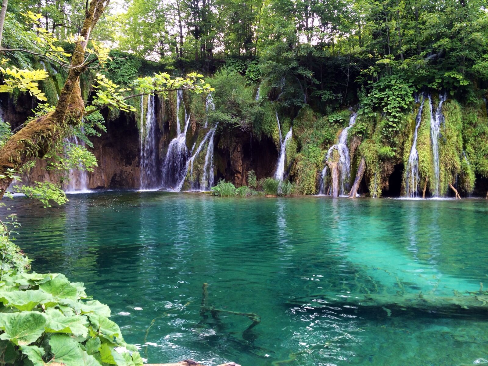 iPhone 5s back camera 4.12mm f/2.2 sample photo. Plitvice lakes, croatia, natural photography
