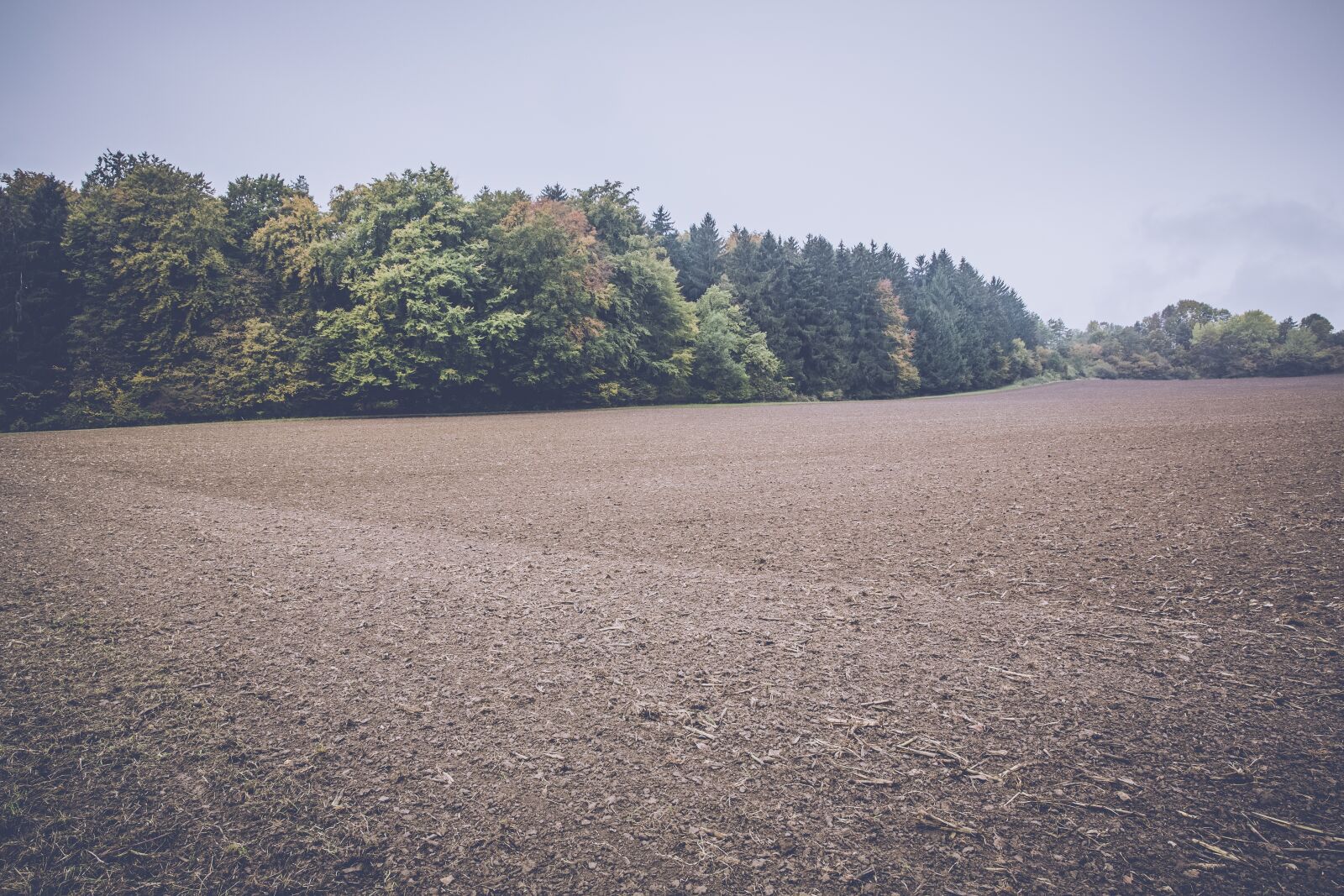 Canon EF 24-70mm F2.8L II USM sample photo. Field, arable, landscape photography