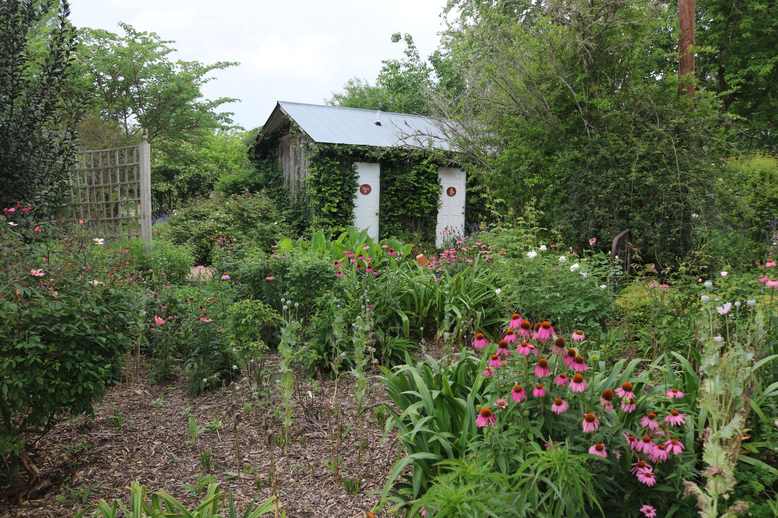Canon EOS 750D (EOS Rebel T6i / EOS Kiss X8i) sample photo. Garden, fairy, nature photography