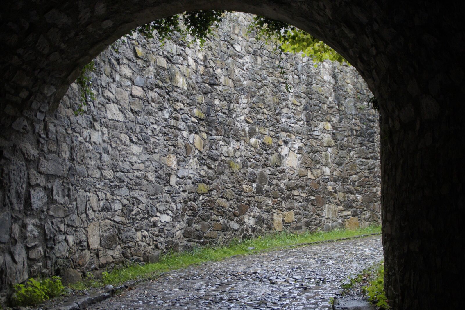 Sony SLT-A58 sample photo. Archway, hohentwiel, wet photography