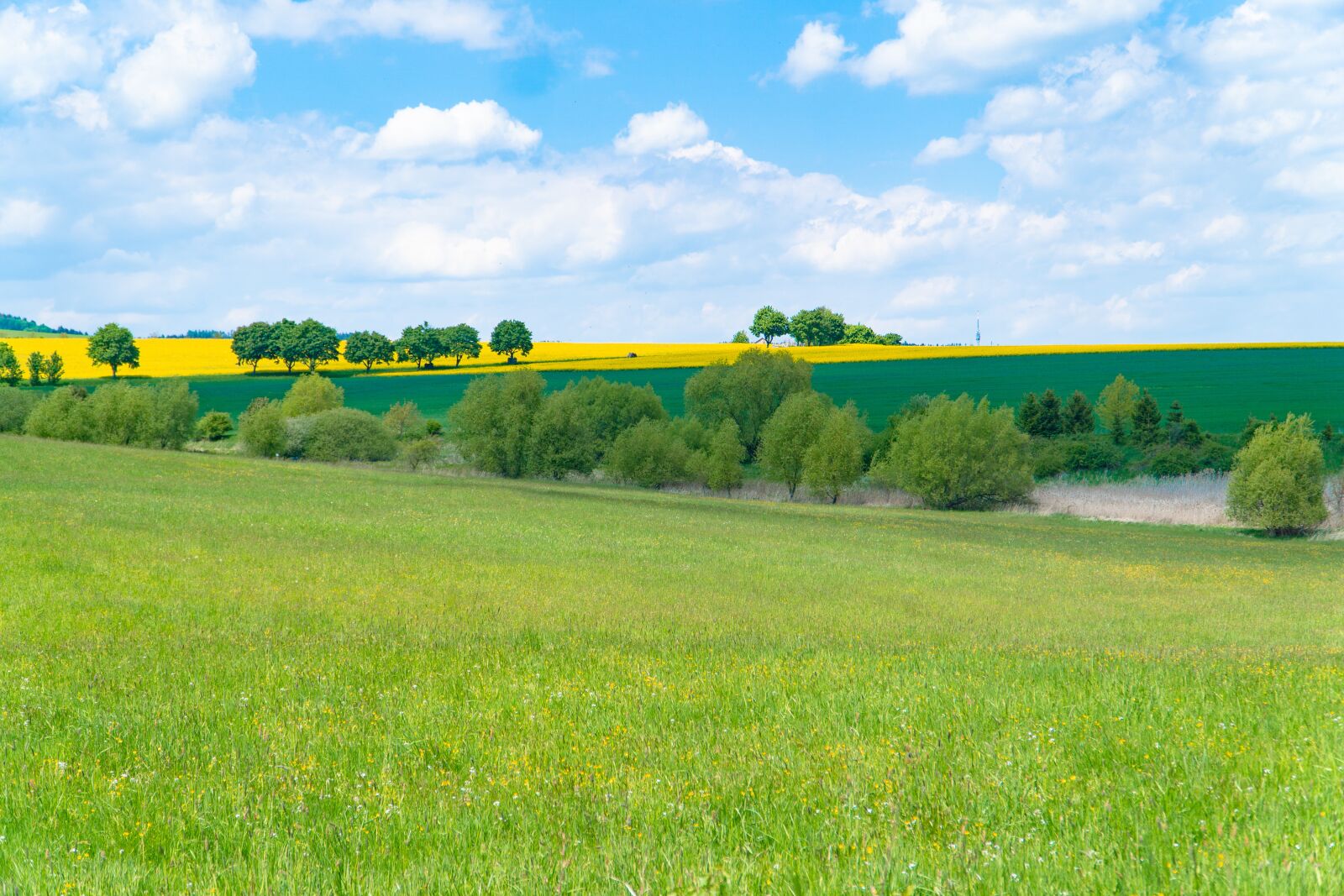 Sony a6000 + Sony E PZ 18-105mm F4 G OSS sample photo. Meadow, nature, sky photography