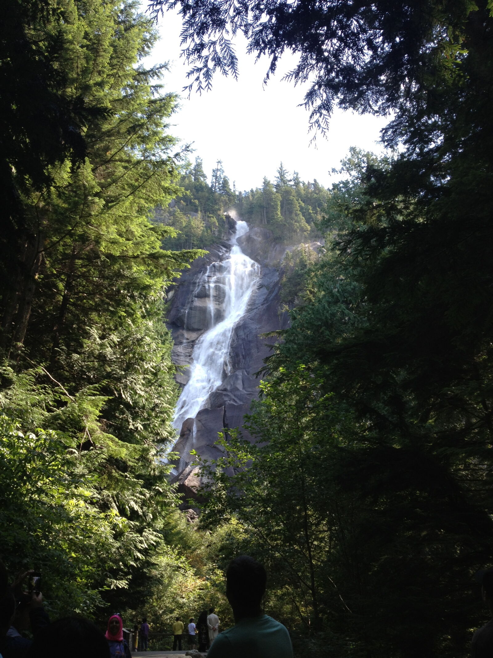 Apple iPhone 4S sample photo. British, columbia, canada, folliage photography