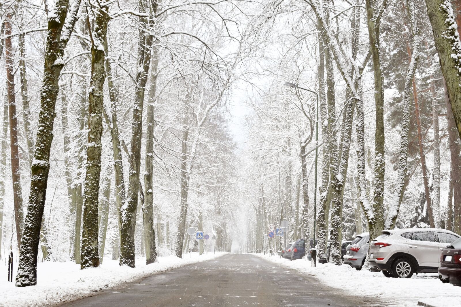 Nikon D7200 sample photo. Winter, snowy, wintry photography