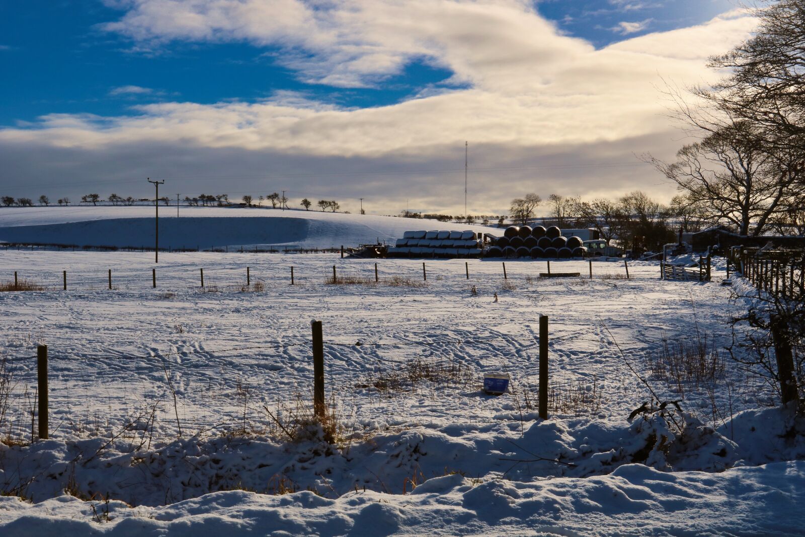 Canon EOS 750D (EOS Rebel T6i / EOS Kiss X8i) + Canon EF 17-40mm F4L USM sample photo. Snow, farm, winter photography