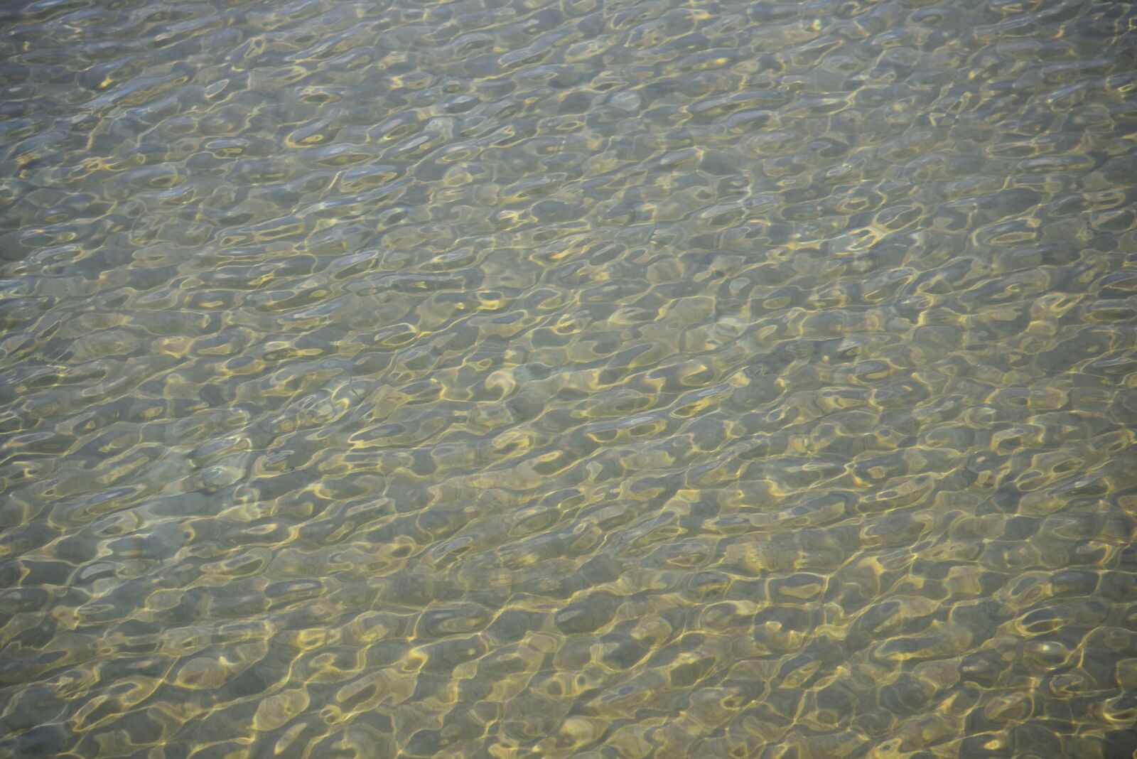 Nikon D750 sample photo. Water, lake, waters photography