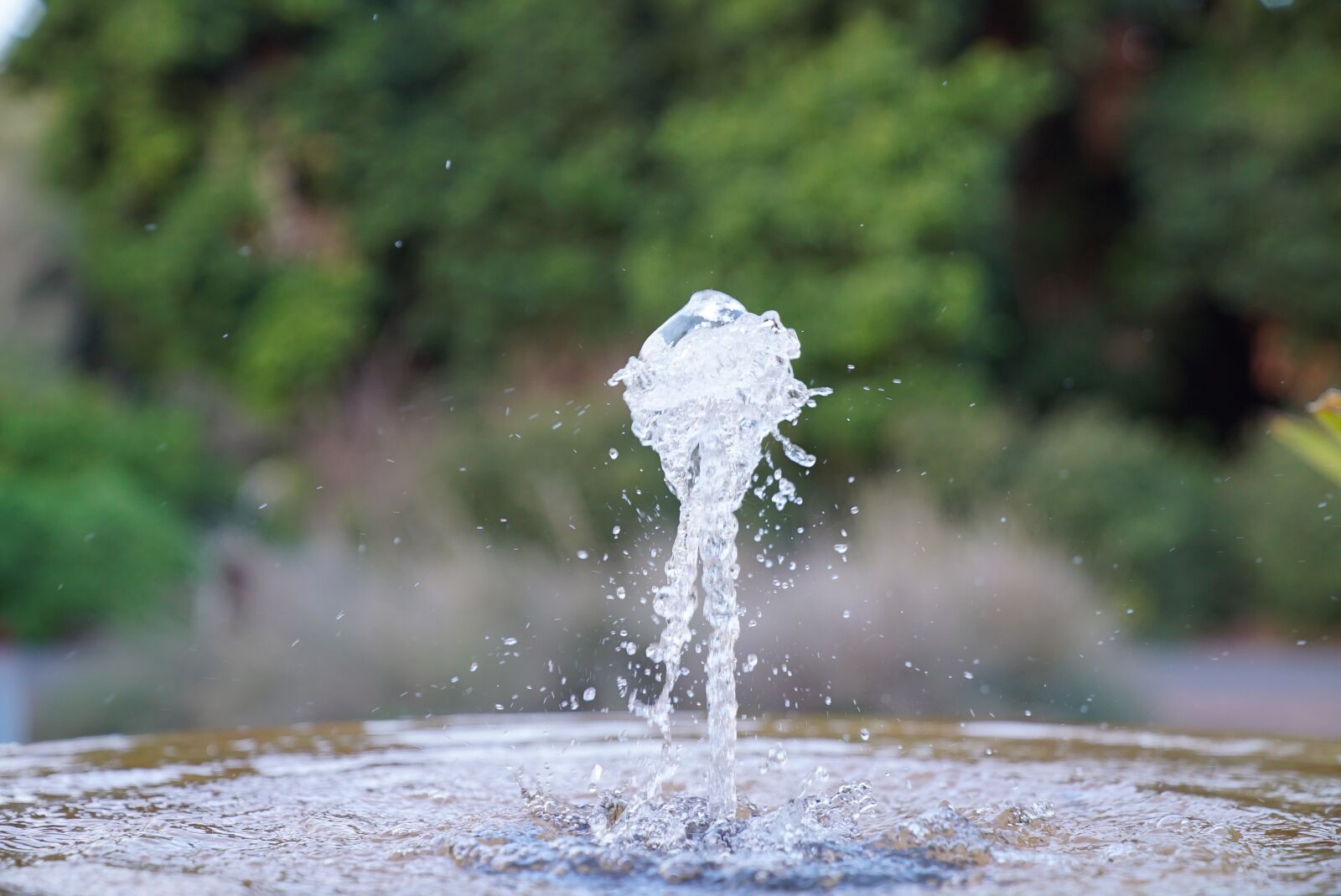Sony a7S sample photo. Water fountain, water spurt photography